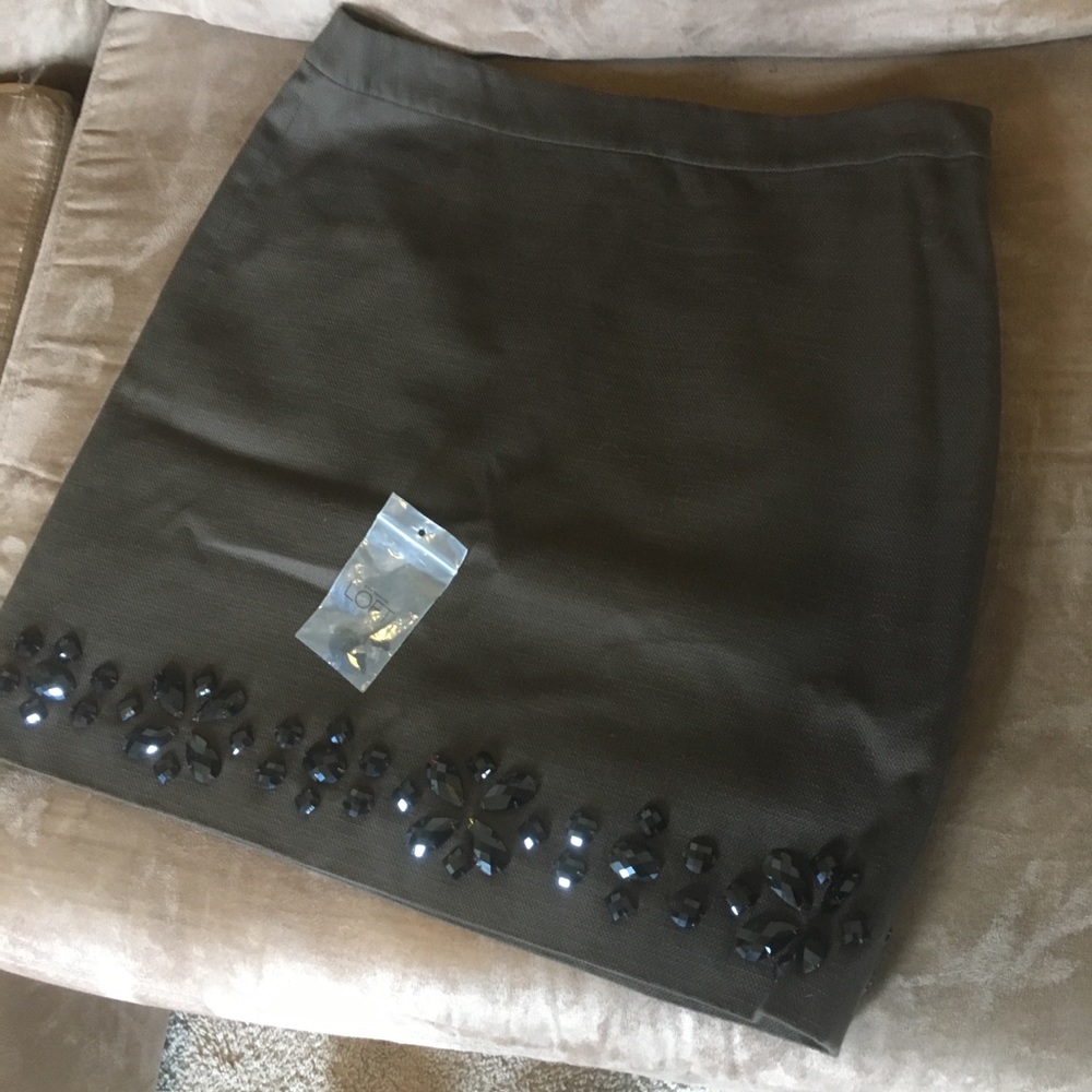 Ann Taylor skirt